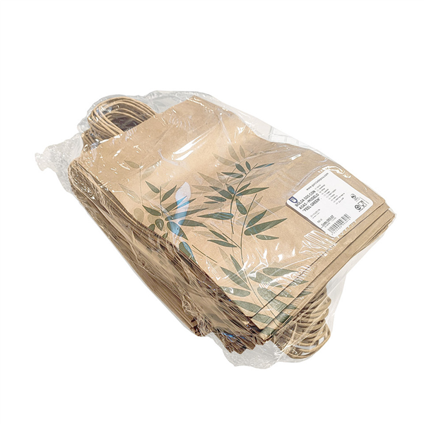 SAC SOS AVEC POIGNÉES "FEEL GREEN"  80 G/M2 20+10x29 CM MARRON KRAFT (250 UNITÉ)