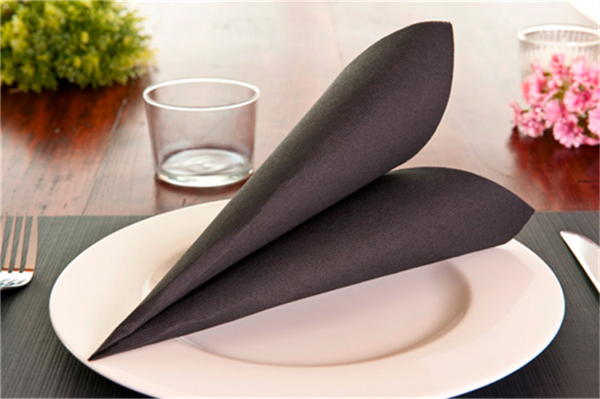 SETS DE TABLE  48 G/M2 31x43 CM NOIR CELLULOSE (2000 UNITÉ) - Garcia de Pou