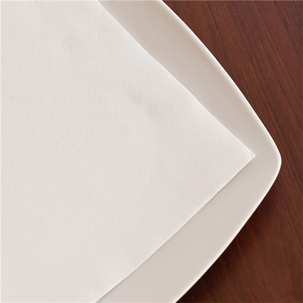 SERVIETTES "DOUBLE POINT" 18 G/M2 20x20 CM BLANC OUATE (2400 UNITÉ) - Garcia de Pou