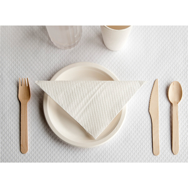 ASSIETTES BIONIC  Ø 18x1,8 CM NATUREL BAGASSE (140 UNITÉ)