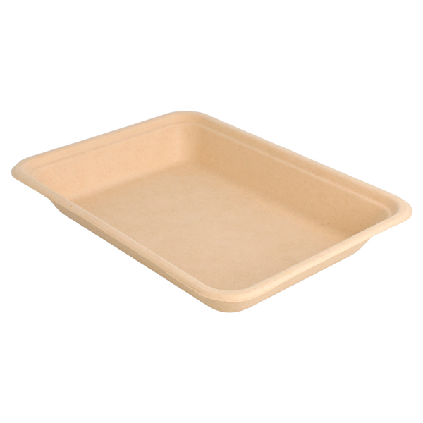 BARQUETTES "BIONIC" 350 ML 19,6x14,7x2,7 CM NATUREL BAGASSE (1000 UNITÉ) - Garcia de Pou