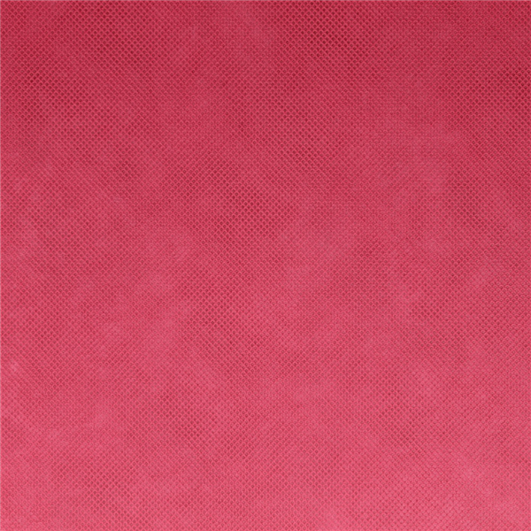 NAPPE "SPUNBOND" 60 G/M2 1,20x50 M FRAMBOISE PP (1 UNITÉ) - Garcia de Pou