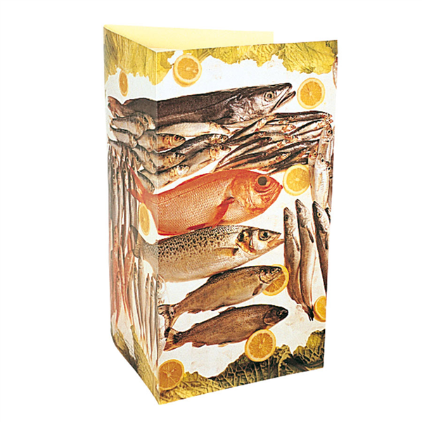 CARTE EN 3 VOLETS "POISSON"  47x30 CM ASSORTI CARTON (1 UNITÉ) - Garcia de Pou