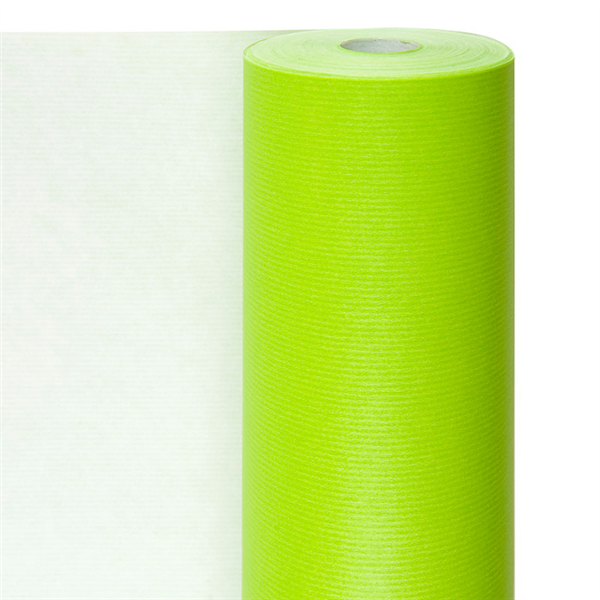 PAPIER CADEAUX COULEUR UNIE  60 G/M2 0,7x100 M VERT ANIS CELLULOSE (1 UNITÉ) - Garcia de Pou