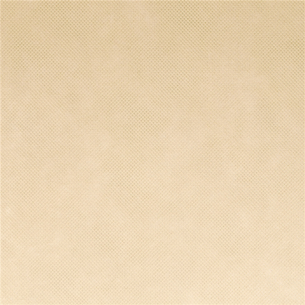 NAPPE "SPUNBOND" 60 G/M2 1,20x50 M CREME PP (1 UNITÉ) - Garcia de Pou