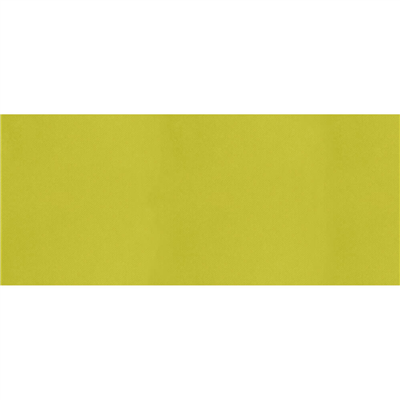 "TÊTE-À-TÊTE" PLIAGE 1/2  55 G/M2 40x120 CM KIWI AIRLAID (400 UNITÉ)
