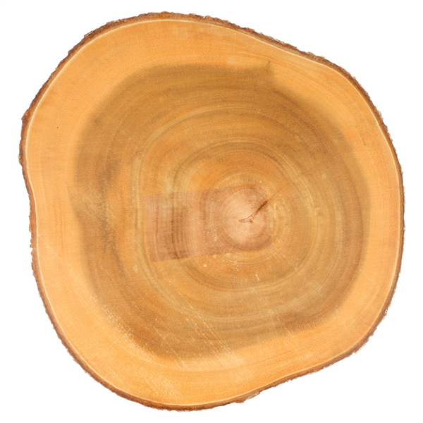 PLATEAUX PRÉSENTATION RONDES  Ø 23x3,5 CM NATUREL BOIS (6 UNITÉ) - Garcia de Pou