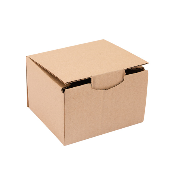 BOÎTE POSTALE  12x10x8 CM NATUREL CARTON (50 UNITÉ) - Garcia de Pou