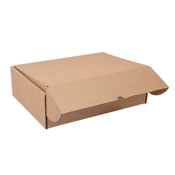 BOÎTE POSTALE  33x25x10 CM NATUREL CARTON (20 UNITÉ) - Garcia de Pou