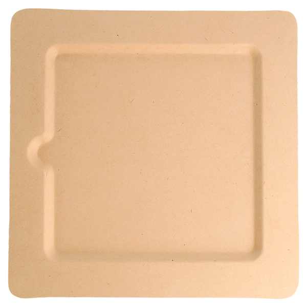 ASSIETTES CARRÉES "BIONIC"  20x20x1 CM NATUREL BAGASSE (200 UNITÉ) - Garcia de Pou