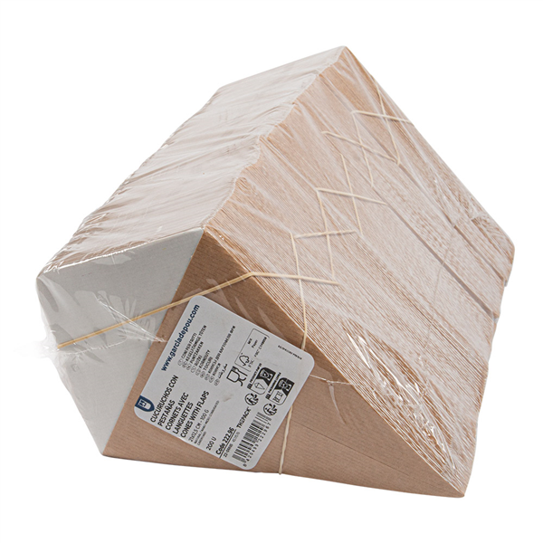 CORNETS AVEC LANGUETTES THEPACK 100 G 21x12,5 CM NATUREL/BLANC CARTON NANO-MICRO (1600 UNITÉ)