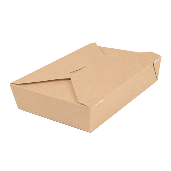 BOÎTES AMÉRICAINES MICRO-ONDABLES "THEPACK" 1470 ML 220 + 12PP G/M2 19,6x14x4,5 CM NATUREL CARTON ONDULÉ NANO-MICRO (300 UNITÉ) - Garcia de Pou