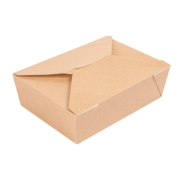 BOÎTES AMÉRICAINES MICRO-ONDABLES "THEPACK" 1980 ML 240 + 12PP G/M2 19,6x14x6,2 CM NATUREL CARTON ONDULÉ NANO-MICRO (200 UNITÉ) - Garcia de Pou