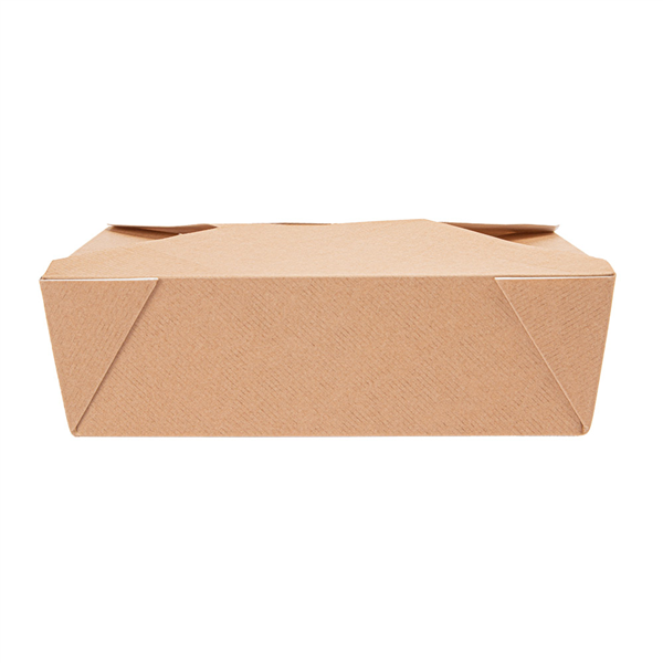 BOÎTES AMÉRICAINES MICRO-ONDABLES "THEPACK" 1980 ML 240 + 12PP G/M2 19,6x14x6,2 CM NATUREL CARTON ONDULÉ NANO-MICRO (200 UNITÉ) - Garcia de Pou