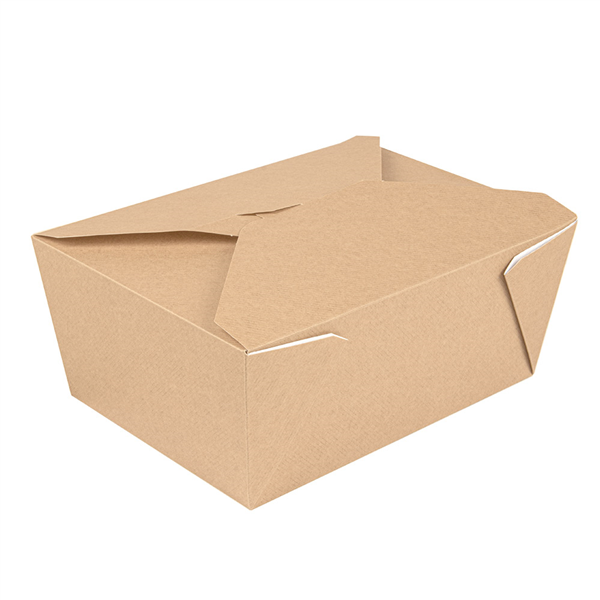 BOÎTES AMÉRICAINES MICRO-ONDABLES "THEPACK" 2880 ML 240 + 12PP G/M2 19,6x14x9 CM NATUREL CARTON ONDULÉ NANO-MICRO (200 UNITÉ) - Garcia de Pou