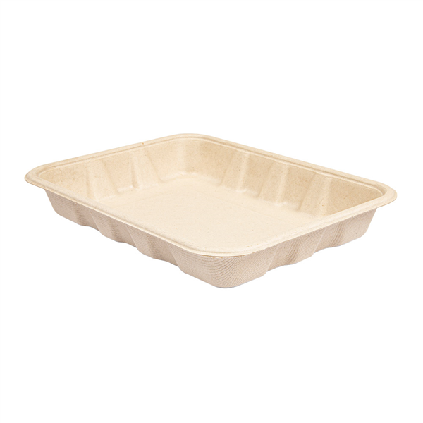 PLATEAUX "BIONIC" 600 ML 22x16x3,5 CM NATUREL BAGASSE (400 UNITÉ) - Garcia de Pou