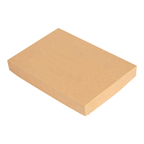 COUVERCLES SANS FENÊTRE POUR BOÎTES 254.72 "THEPACK" 240 G/M2 22x15x2 CM NATUREL CARTON ONDULÉ NANO-MICRO (50 UNITÉ) - Garcia de Pou