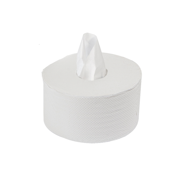 HYGIÉNIQUE DEVIDAGE CENTRAL ECOLABEL 2 PLIS - 180 M  17 G/M2 Ø20x11 CM BLANC OUATE (12 UNITÉ)