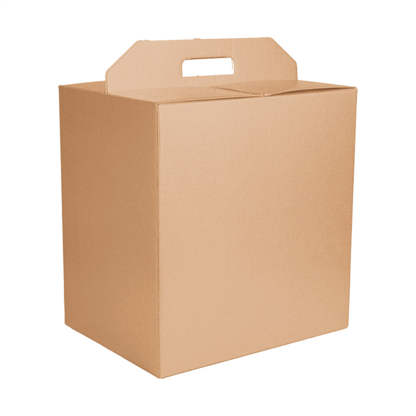 BOÎTES BOUTEILLES/AUTRES THEPACK  33x25x35 CM NATUREL CARTON MICROCANAL (30 UNITÉ)