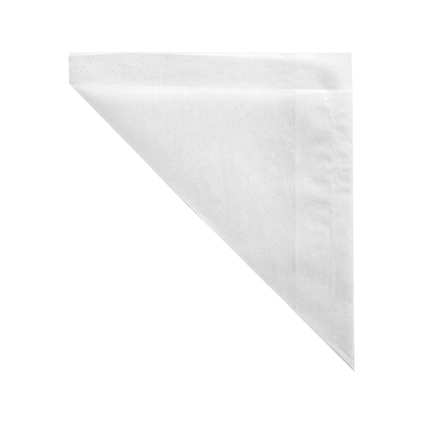 SACHETS EN POINTE PFAS FREE "JUST PAPER" 100 G 60 G/M2 24x17 CM TRANSLUCIDE PAPIER CRISTAL (2000 UNITÉ)