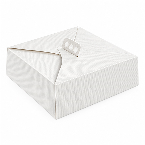 BOÎTES À GÂTEAUX AVEC POIGNÉES "THEPACK"  30x30x10 CM BLANC CARTON NANO-MICRO (25 UNITÉ)