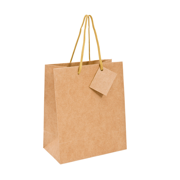 SACS BOUTIQUE ANSES CORDON  150 G/M2 19+10x27 CM NATUREL KRAFT (100 UNITÉ) - Garcia de Pou