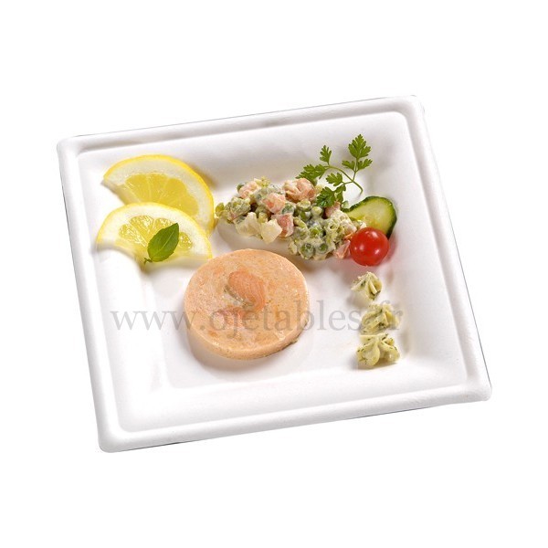 ASSIETTE BIODEGRADABLE CARREE 20 cm