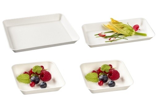 Kit des 200 raviers kanopée blanc avec couv. pour 50 plateaux repas