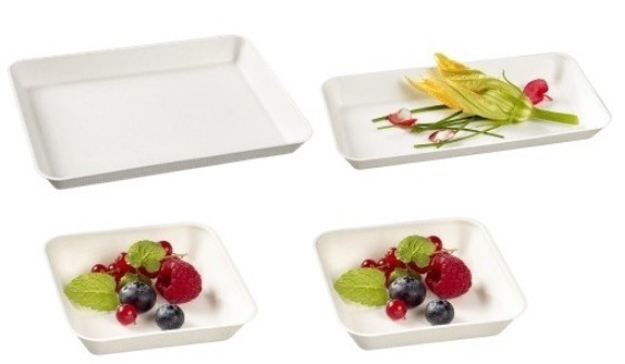 Kit 4 raviers kanopée blancs "AF" en pulpe de canne pour 100 plateaux repas 