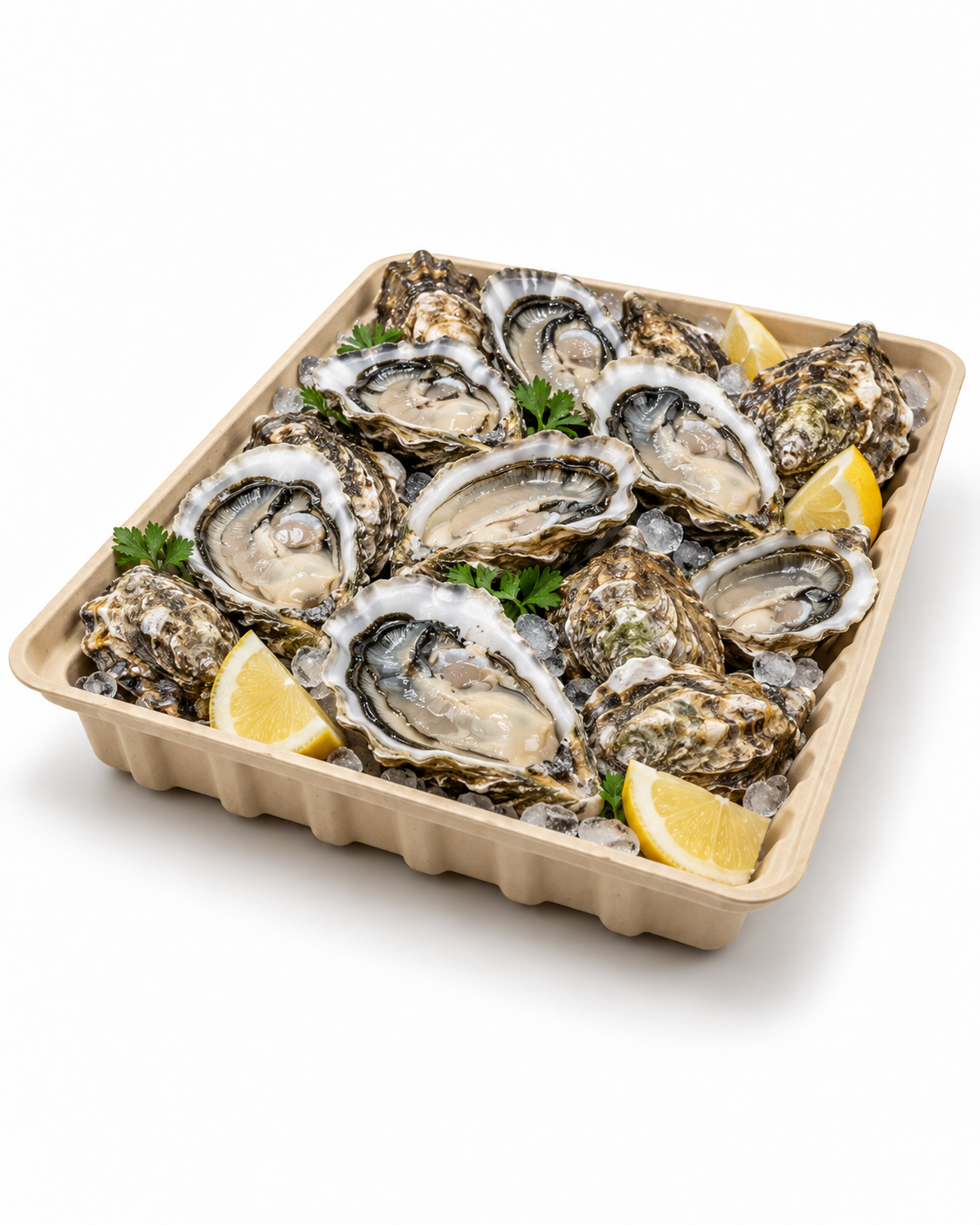 Plateau biodegradable 32 x 25 x 4 cm