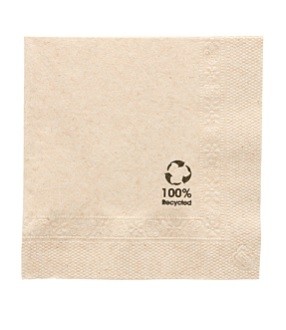 SERVIETTE COCKTAIL ECOLOGIQUE 2 PLIS 20x20 