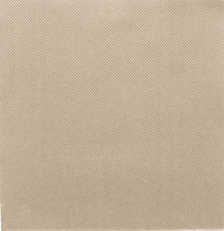 SERVIETTES PAPIER DOUBLE POINT TAUPE 38x38