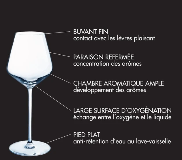 Lot de 40 verres jetables en plastique transparent de 140 ml pour cocktail,  dégustation, dessert, vin, bière, camping, jus zp brands : : Santé  et Soins personnels