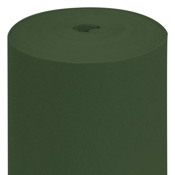 NAPPE EN ROULEAU  55 G/M2 1,20x50 M VERT JAGUAR AIRLAID (1 UNITÉ) - Garcia de Pou