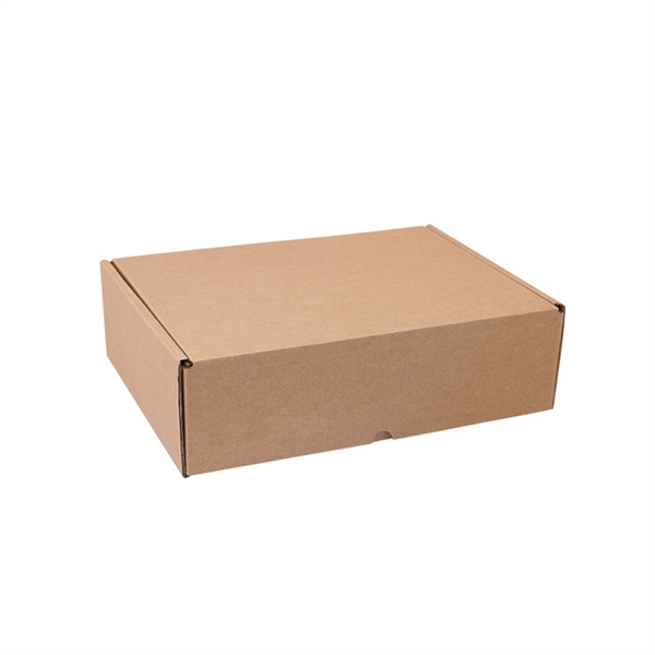 BOÎTE POSTALE  25x15x10 CM NATUREL CARTON (50 UNITÉ) - Garcia de Pou