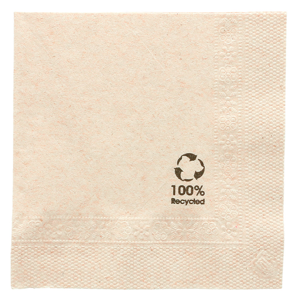 SERVIETTES ECOLABEL 2 PLIS  18 G/M2 25x25 CM NATUREL OUATE RECYCLÉE (4800 UNITÉ) - Garcia de Pou