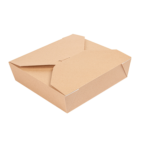 BOÎTES AMÉRICAINES MICRO-ONDABLES "THEPACK" 2910 ML 240 + 12PP G/M2 21,7x21,7x6 CM NATUREL CARTON ONDULÉ NANO-MICRO (100 UNITÉ) - Garcia de Pou