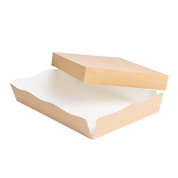 PLATEAUX + COUVERCLE "THEPACK" 240 G/M2 23x17x4,5 CM NATUREL CARTON ONDULÉ NANO-MICRO (200 UNITÉ) - Garcia de Pou