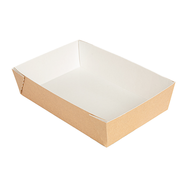 BOÎTES "THEPACK" 220 + 12PP G/M2 22x15x5 CM NATUREL CARTON ONDULÉ NANO-MICRO (200 UNITÉ) - Garcia de Pou