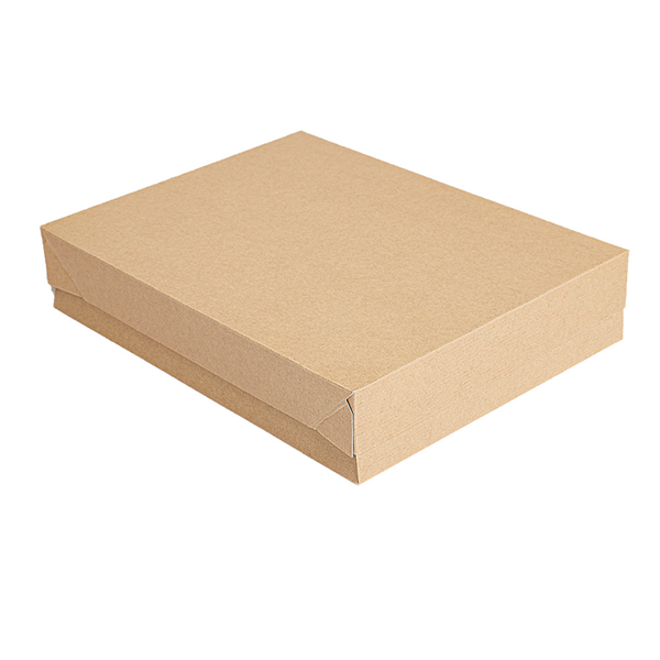 PLATEAUX + COUVERCLE "THEPACK" 240 G/M2 19,5x11x4,5 CM NATUREL CARTON ONDULÉ NANO-MICRO (200 UNITÉ) - Garcia de Pou