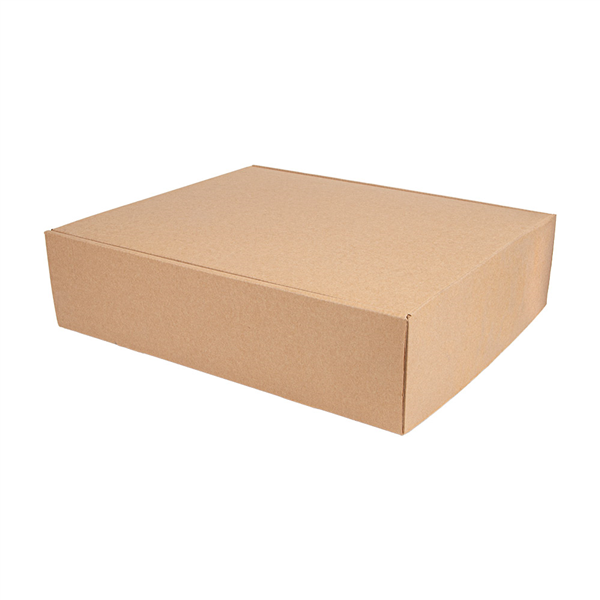 COFFRETS 3 BOUTEILLES THEPACK  34x28x9 CM NATUREL CARTON MICROCANAL (30 UNITÉ)