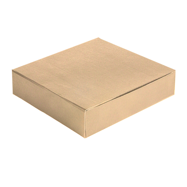 BOÎTES CATERING, PLATE THEPACK  21x21x5 CM NATUREL CARTON NANO-MICRO (100 UNITÉ)
