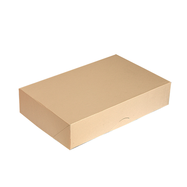 BOÎTES CATERING, PLATE THEPACK  42x32x6 CM NATUREL CARTON NANO-MICRO (100 UNITÉ)