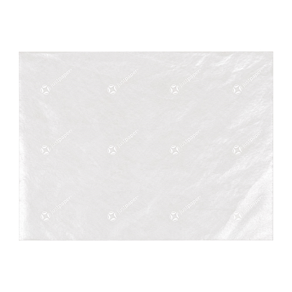 MINI PAPIER INGRAISSABLES PFAS FREE "JUST PAPER" 30 G/M2 25x20 CM TRANSLUCIDE PAPIER CRISTAL (1000 UNITÉ)