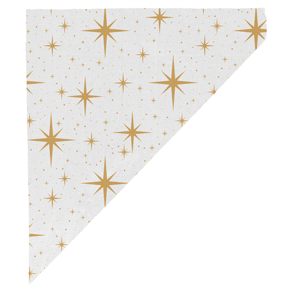 SACHETS EN POINTE PFAS FREE "ESTRELLAS" 100 G 60 G/M2 24x17 CM TRANSLUCIDE PAPIER CRISTAL (2000 UNITÉ)