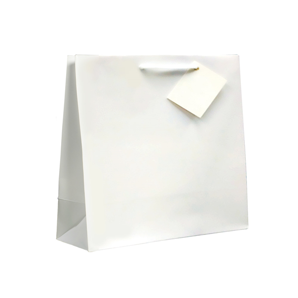 SACS BOUTIQUE ANSES CORDON  19+10x27 CM BLANC CELLULOSE (100 UNITÉ) - Garcia de Pou