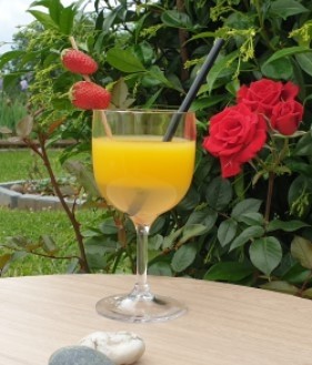 Verre Piscine Incassable et Réutilisable en Tritan 26 cl