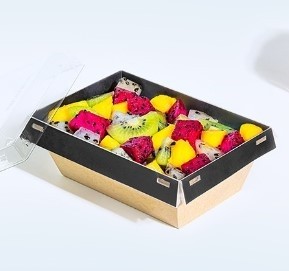 BOITE CARTON LUXIFOOD 600CC