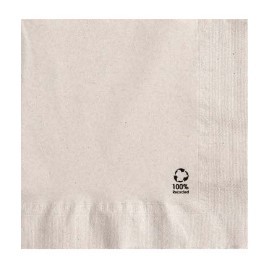 SERVIETTES Recyclée Ouate 2 plis 30x30 