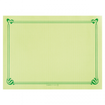 SETS DE TABLE  48 G/M2 31x43 CM VERT ANIS CELLULOSE (2000 UNITÉ) - Garcia de Pou